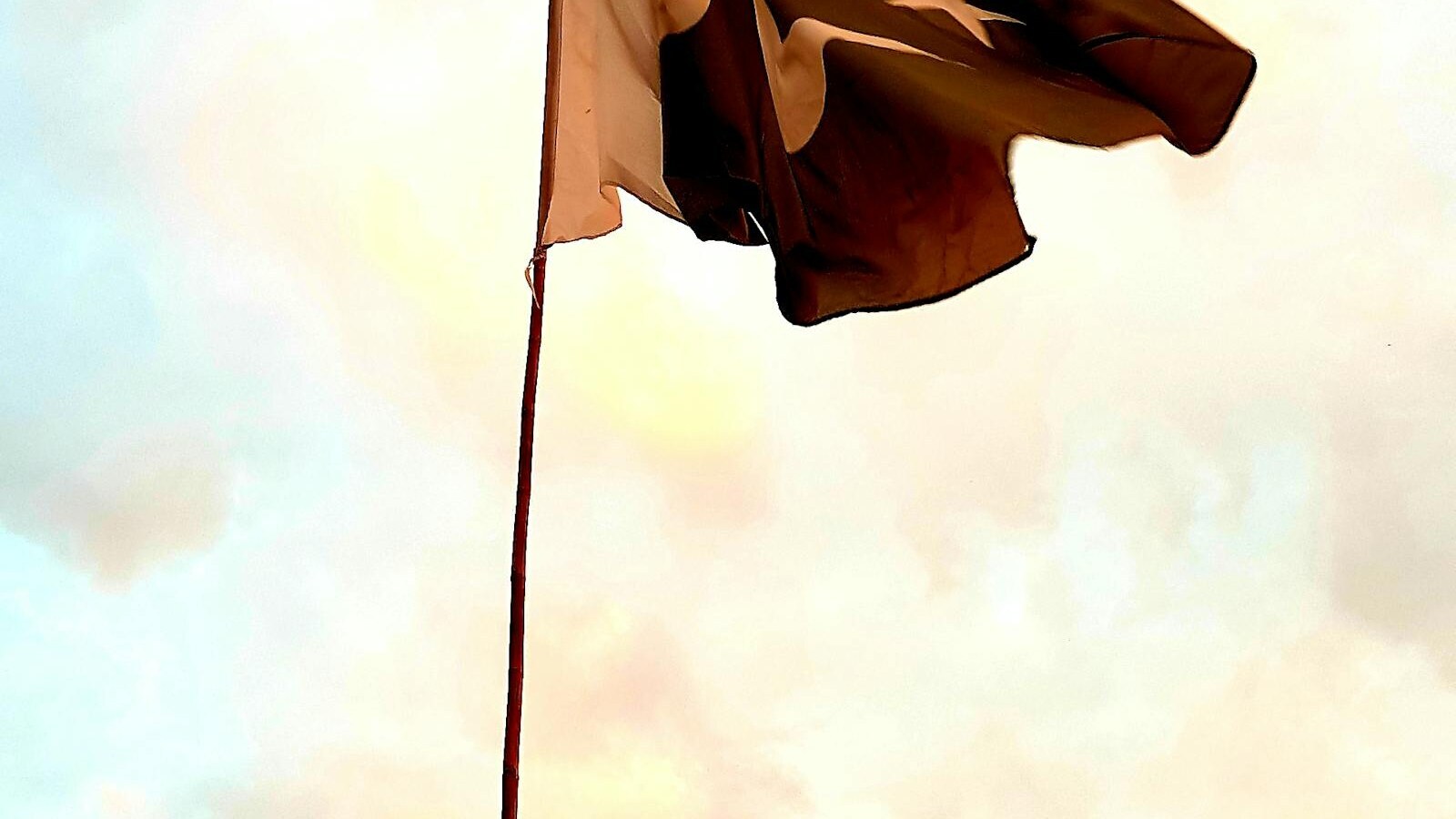 FIRE for Pakistanis: The 3 Levers That Matter Most