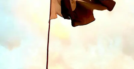 FIRE for Pakistanis: The 3 Levers That Matter Most