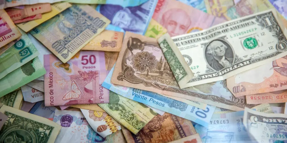 Top 5 Forex and CFD Brokers for Pakistanis