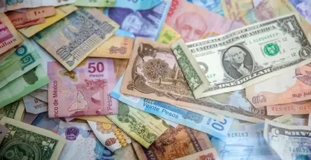 Top 5 Forex and CFD Brokers for Pakistanis